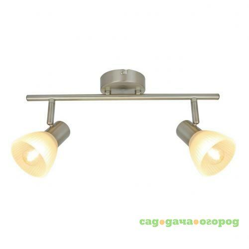 Фото Спот Arte Lamp Parry A5062AP-2SS