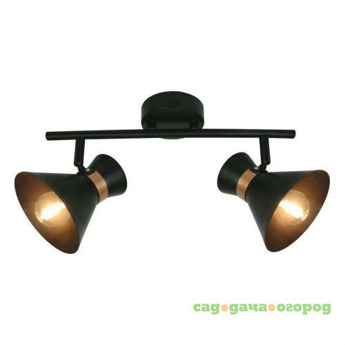 Фото Спот Arte Lamp Baltimore A1406AP-2BK