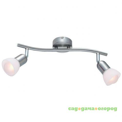 Фото Спот Arte Lamp A3115PL-2SS