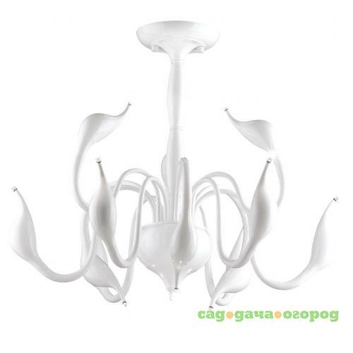 Фото Потолочная люстра Lightstar Cigno Collo Wt 751026