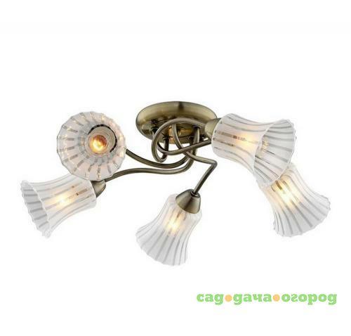 Фото Потолочная люстра IDLamp Nanzen 245/5PF-Oldbronze