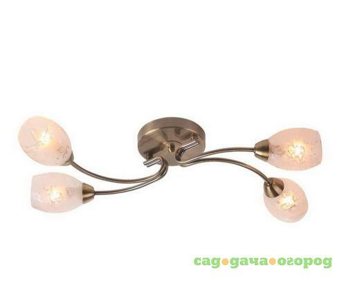 Фото Потолочная люстра IDLamp Carmina 201/4PF-Oldbronze