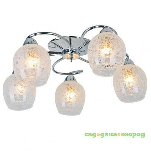 Фото Потолочная люстра Arte Lamp 87 A1674PL-5CC