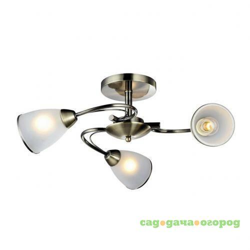 Фото Потолочная люстра Arte Lamp 3 A6056PL-3AB