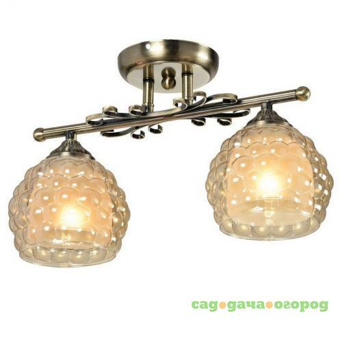 Фото Потолочная люстра IDLamp Bella 285/2PF-Oldbronze