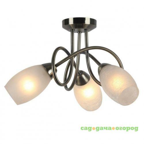 Фото Потолочная люстра Arte Lamp Mutti A8616PL-3AB