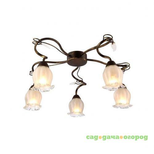 Фото Потолочная люстра Arte Lamp 83 A7449PL-5BR