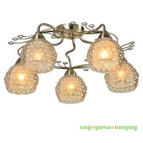 Фото Потолочная люстра IDLamp Verity 286/5PF-Oldbronze