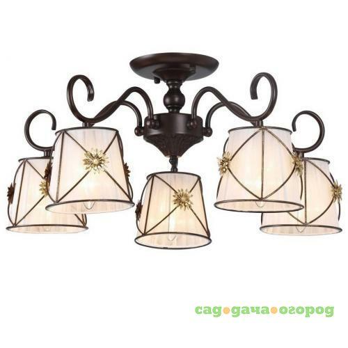 Фото Потолочная люстра Arte Lamp 72 A5495PL-5BR