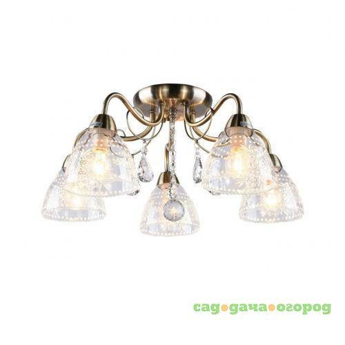 Фото Потолочная люстра Arte Lamp Rugiada A1658PL-5AB