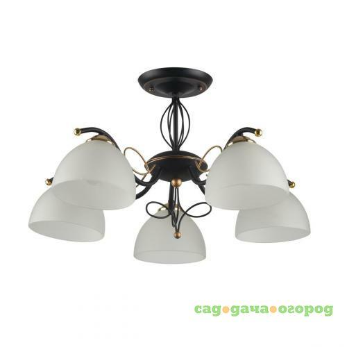 Фото Потолочная люстра IDLamp Ragia 554/5PF-Blackpatina