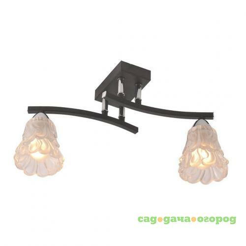 Фото Потолочный светильник IDLamp Simone 217/2PF-Blackchrome