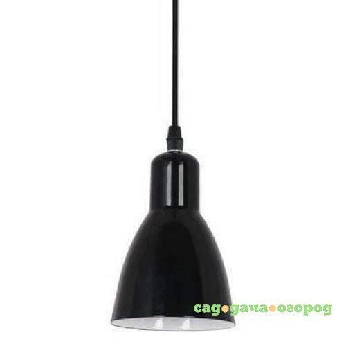 Фото Подвесной светильник Arte Lamp 48 A5049SP-1BK