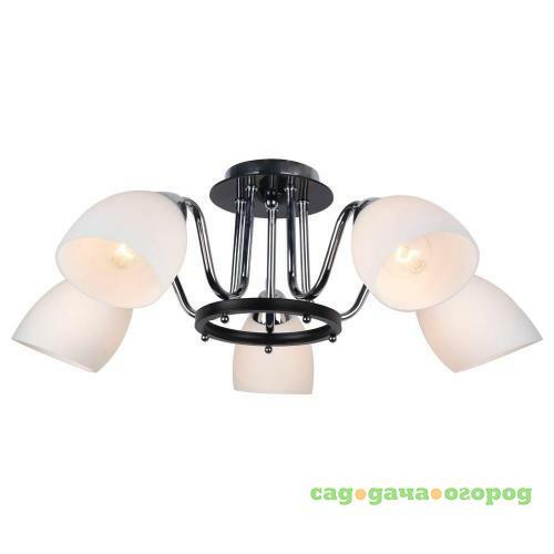 Фото Потолочная люстра Arte Lamp Florentino A7144PL-5BK