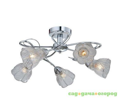 Фото Потолочная люстра IDLamp Clairette 866/5PF-Chrome