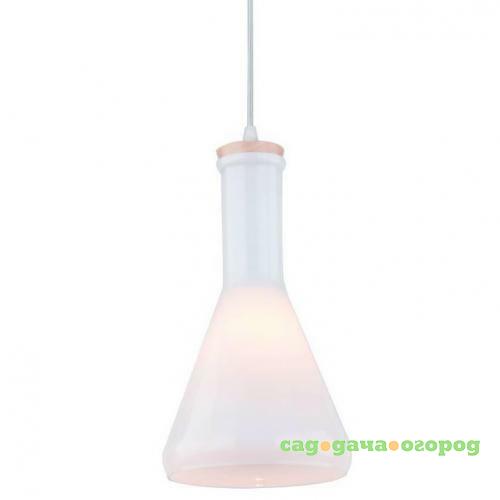 Фото Подвесной светильник Arte Lamp 22 A8114SP-1WH