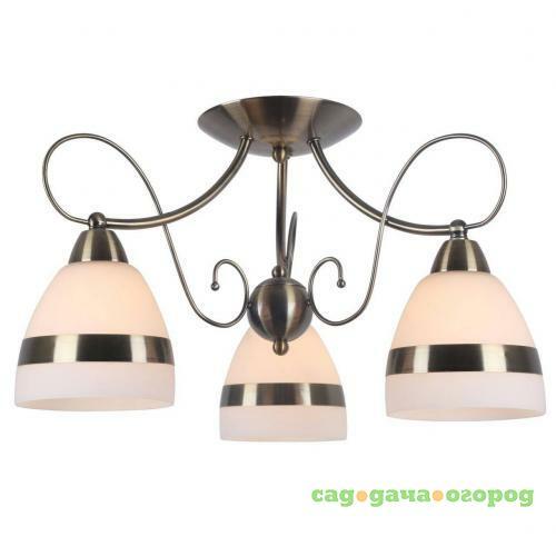 Фото Потолочная люстра Arte Lamp 55 A6192PL-3AB