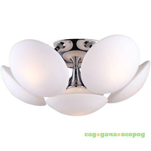 Фото Потолочная люстра Arte Lamp Soffione A2550PL-6CC