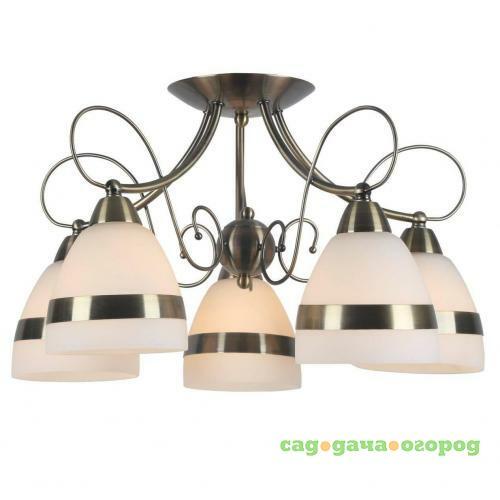 Фото Потолочная люстра Arte Lamp 55 A6192PL-5AB