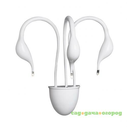 Фото Бра Lightstar Cigno Collo Wt 751636