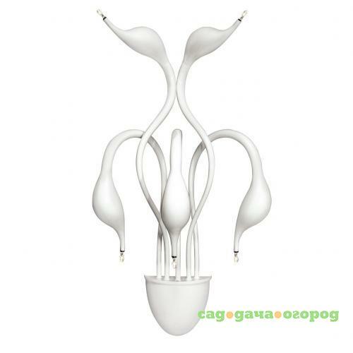 Фото Бра Lightstar Cigno Collo Wt 751656