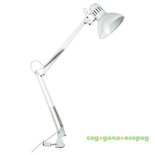 Фото Настольная лампа Arte Lamp Senior A6068LT-1WH