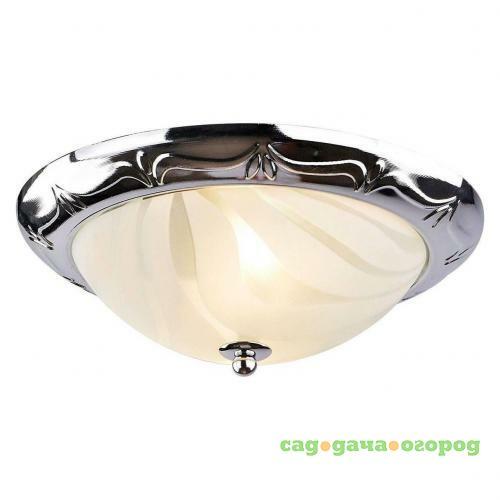 Фото Потолочный светильник Arte Lamp 28 A3008PL-2CC