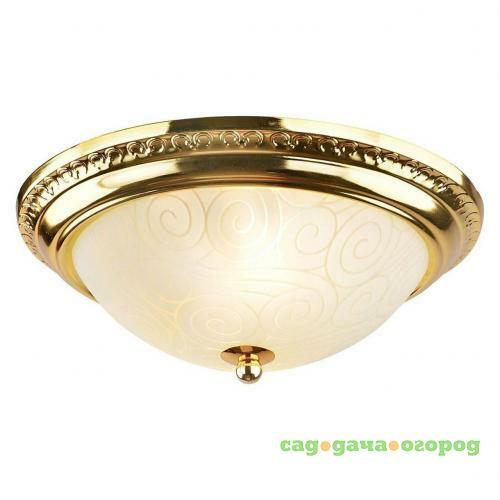 Фото Потолочный светильник Arte Lamp 28 A3013PL-2GO