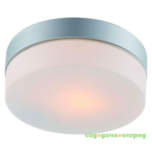 Фото Потолочный светильник Arte Lamp Shirp A3211PL-1SI