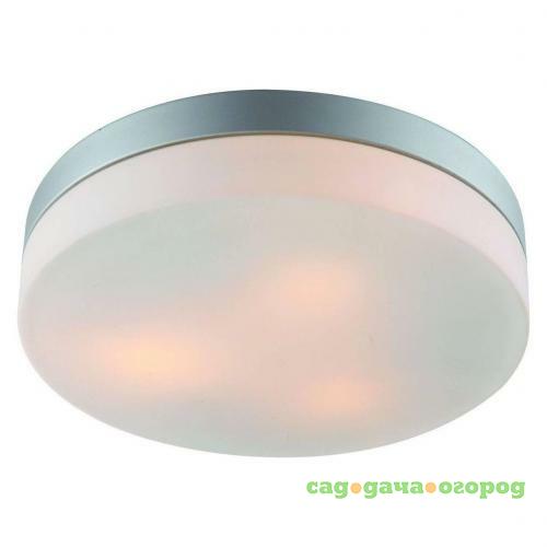 Фото Потолочный светильник Arte Lamp Shirp A3211PL-3SI