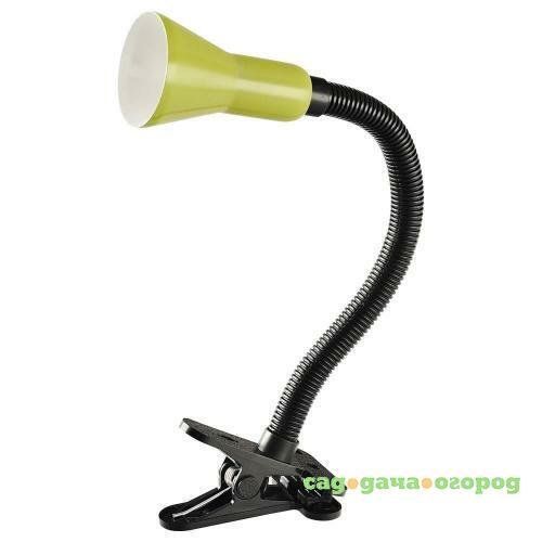 Фото Настольная лампа Arte Lamp Cord A1210LT-1GR