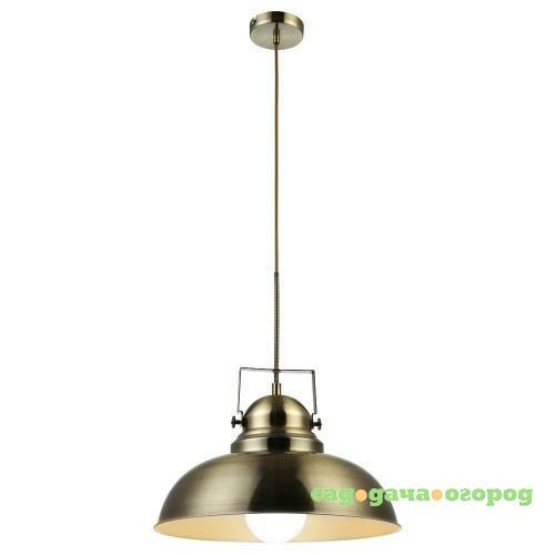 Фото Подвесной светильник Arte Lamp Martin A5213SP-1AB