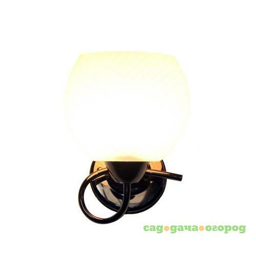 Фото Бра IDLamp Elda 853/1A-Blackchrome