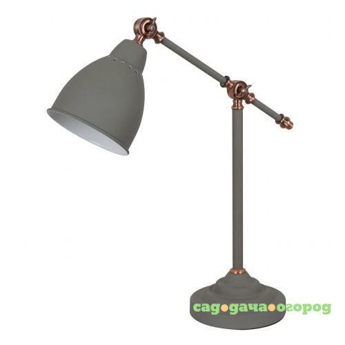 Фото Настольная лампа Arte Lamp Braccio A2054LT-1GY