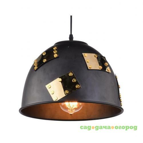 Фото Подвесной светильник Arte Lamp Eurica A6023SP-1BK