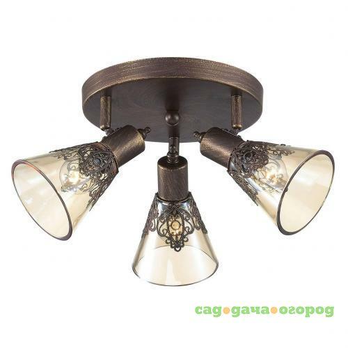 Фото Спот Favourite Gumbata 1795-3U
