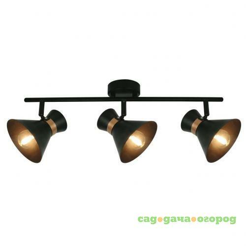 Фото Спот Arte Lamp Baltimore A1406PL-3BK