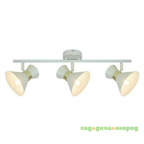 Фото Спот Arte Lamp Baltimore A1406PL-3WG