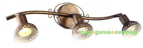 Фото Спот Arte Lamp Focus A5219PL-3BR