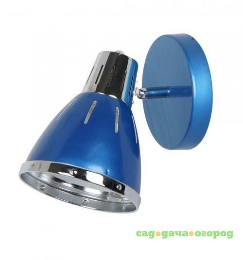 Фото Спот Arte Lamp 47 A2215AP-1BL