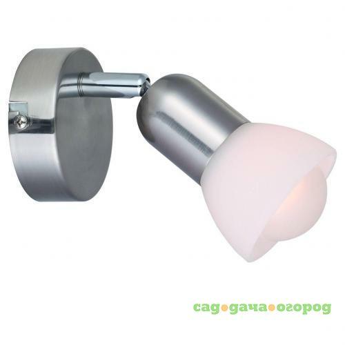 Фото Спот Arte Lamp A3115AP-1SS