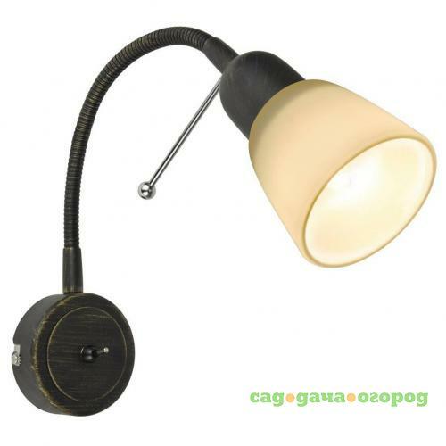 Фото Спот Arte Lamp Lettura A7009AP-1BR