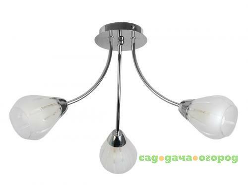 Фото Потолочная люстра Toplight Fay TL3660X-03CH