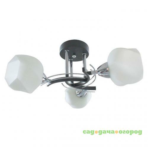 Фото Потолочная люстра Toplight Lia TL7380X-03BC