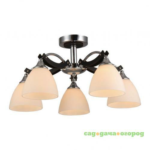 Фото Потолочная люстра IDLamp Fayora 287/5PF-Blackchrome