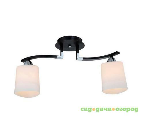 Фото Потолочный светильник IDLamp Helena 860/2PF-Dark