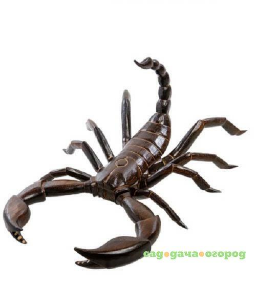 Фото Настенное панно Decor and Gift, Скорпион, 50 см, албезия, о. Бали