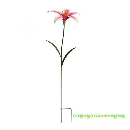 Фото Штекер садовый Gardman, Oriental Lily, 75 см