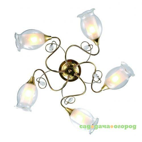 Фото Потолочная люстра Arte Lamp Mughetto A9289PL-5GO