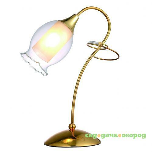 Фото Настольная лампа Arte Lamp Mughetto A9289LT-1GO